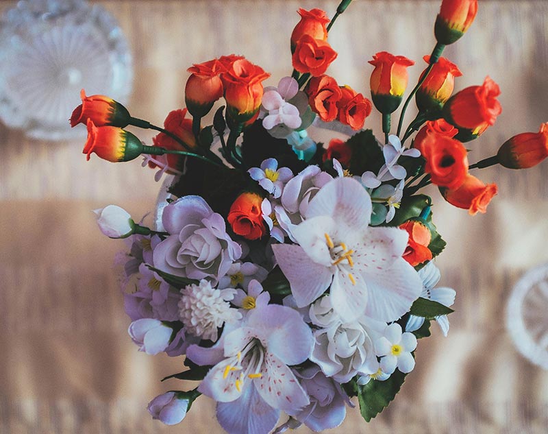 Mur végétal stabilisé