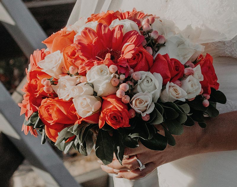 Installation végétale bureau